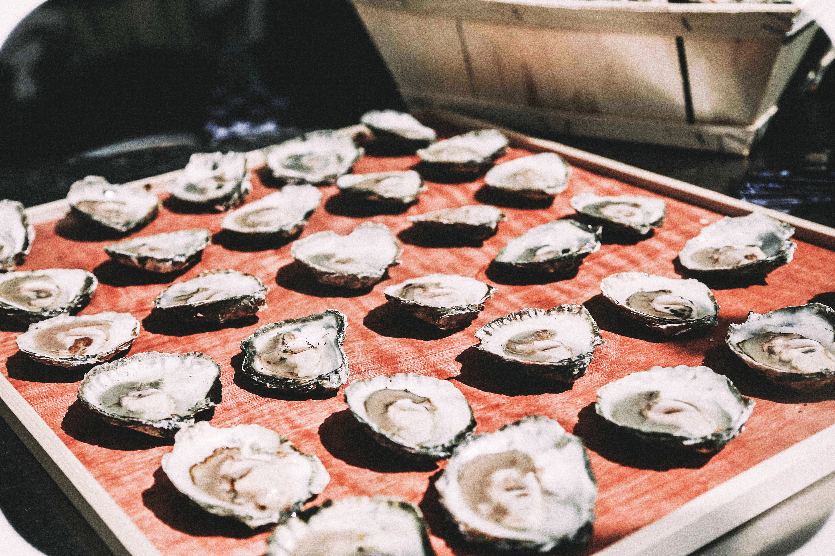 Kandidaten NK Oestersteken bekend