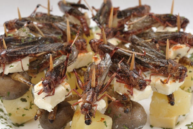 Krekelsnacks naar Amsterdam