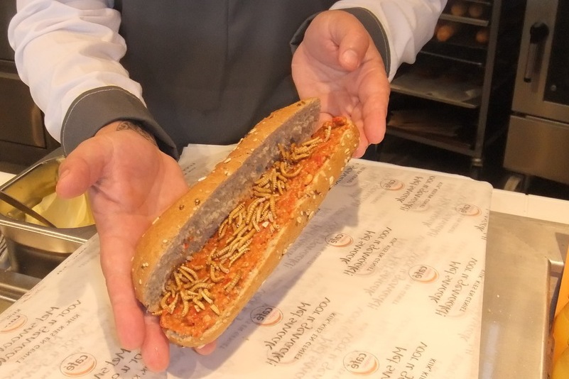 Broodje Meelworm bij tankstation Total