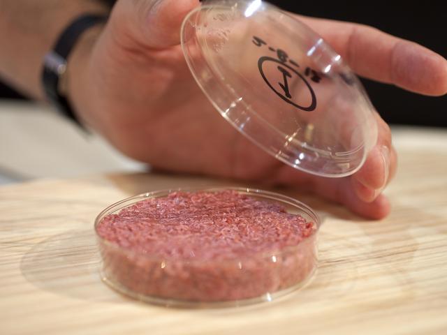 'Kweekburger binnen tien jaar in cafetaria'