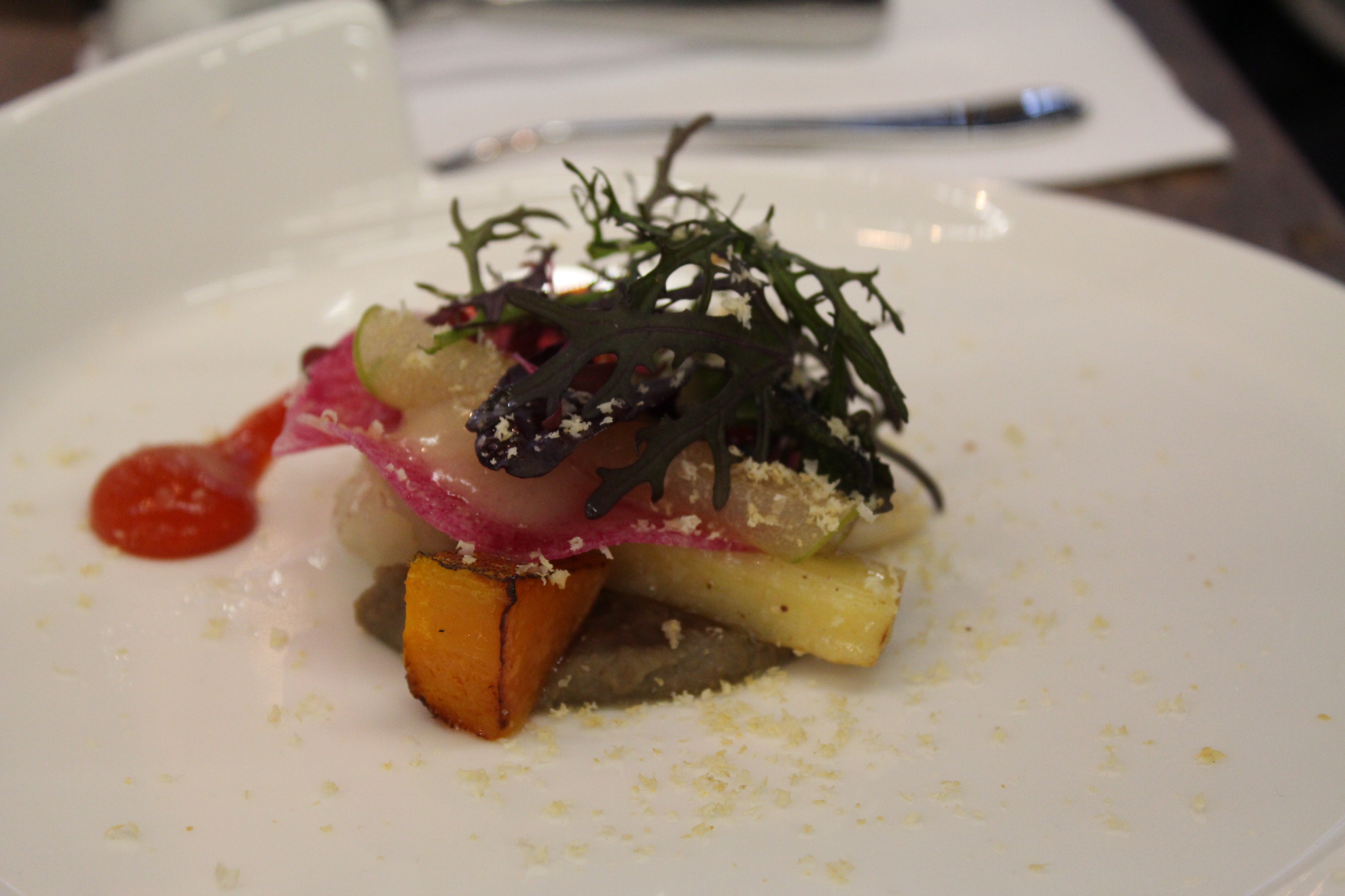 Meer chefs voor Dutch Cuisine