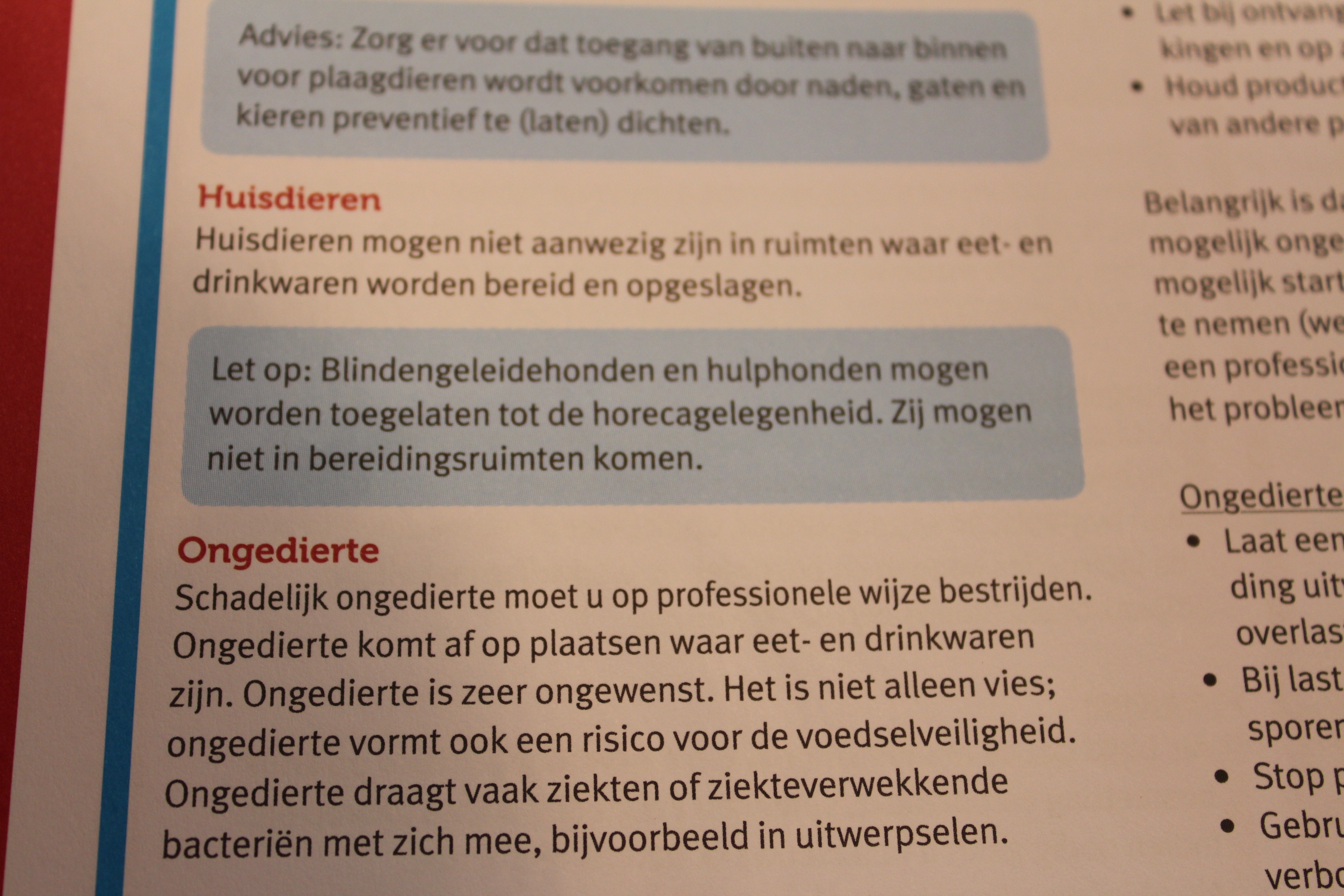 Nieuwe Hygiënecode: hulphond mag wel restaurant in