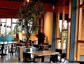 'Eerste broodjeszaak met drive-thru aan rand van bos'