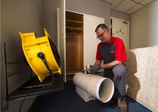 Dagelijks meldingen van bedwantsen in hotel