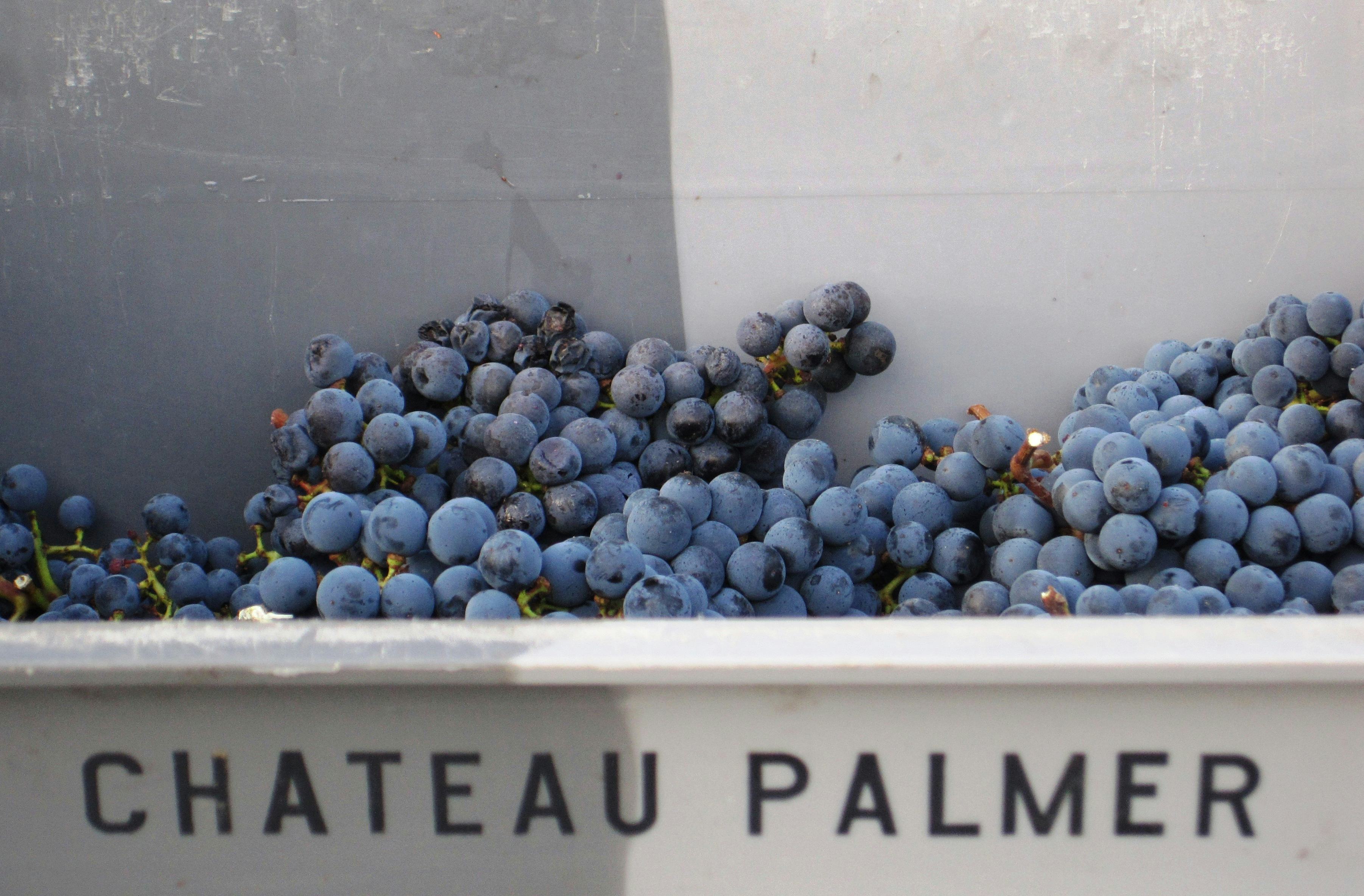 Wijn Actueel: eerste indrukken Bordeaux 2015