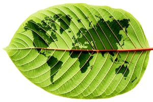 accor wil 1000 moestuinen