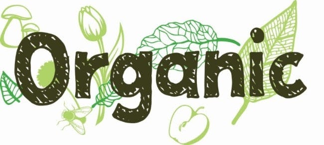 Organic pop-up restaurant met 'Schipholgans' op de kaart