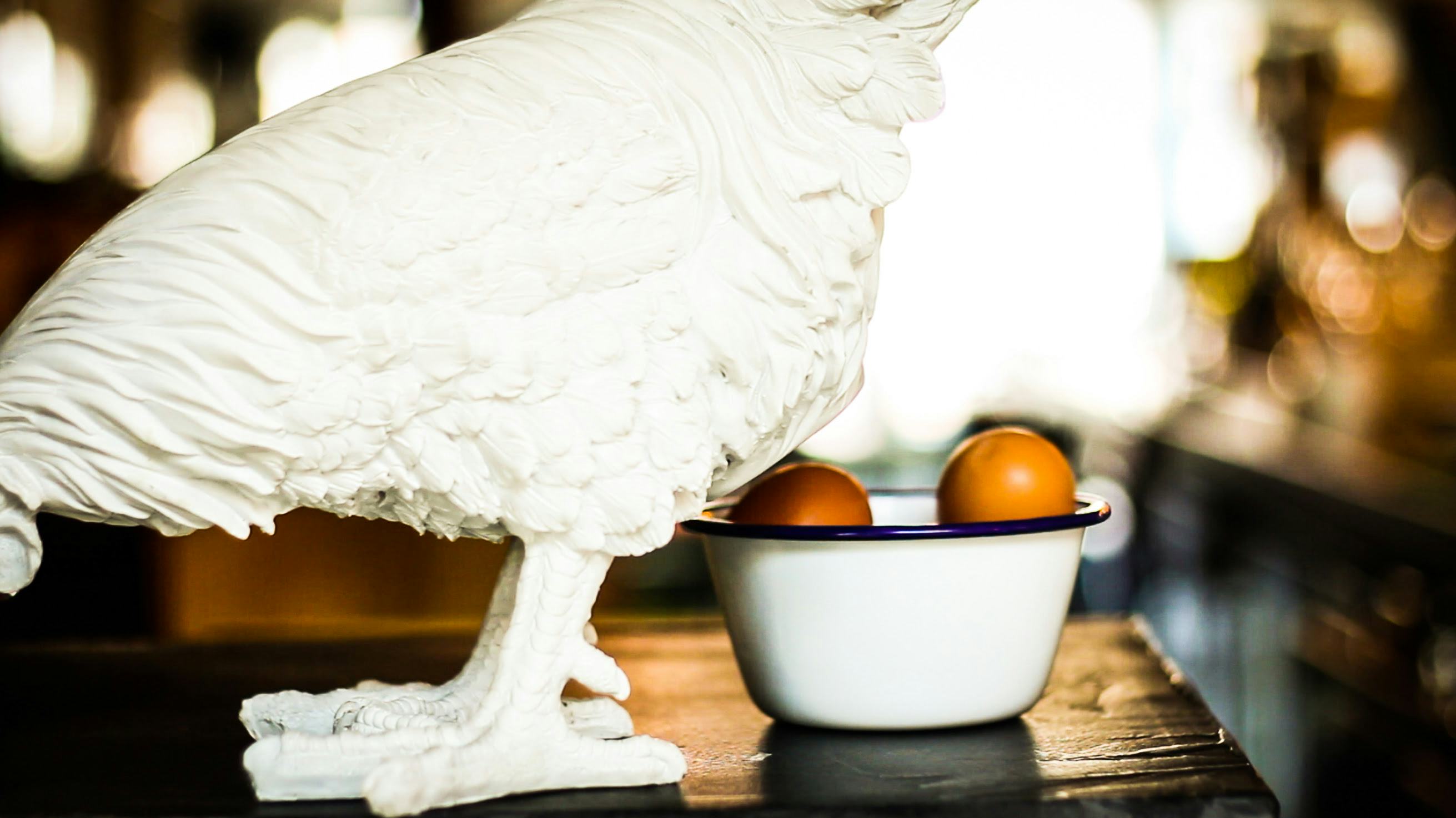 The Egg Store: Restaurant met ei in de hoofdrol