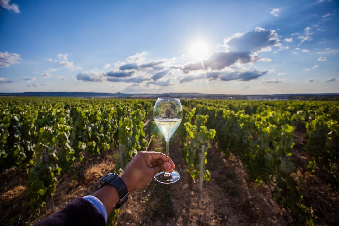Jacobus Boelen haalt wijnhuizen naar Nederland in september