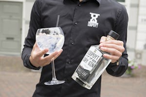 gin schiedam