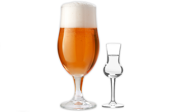 De Pronckheer met Kopstootje op Chef's (R)Evolution