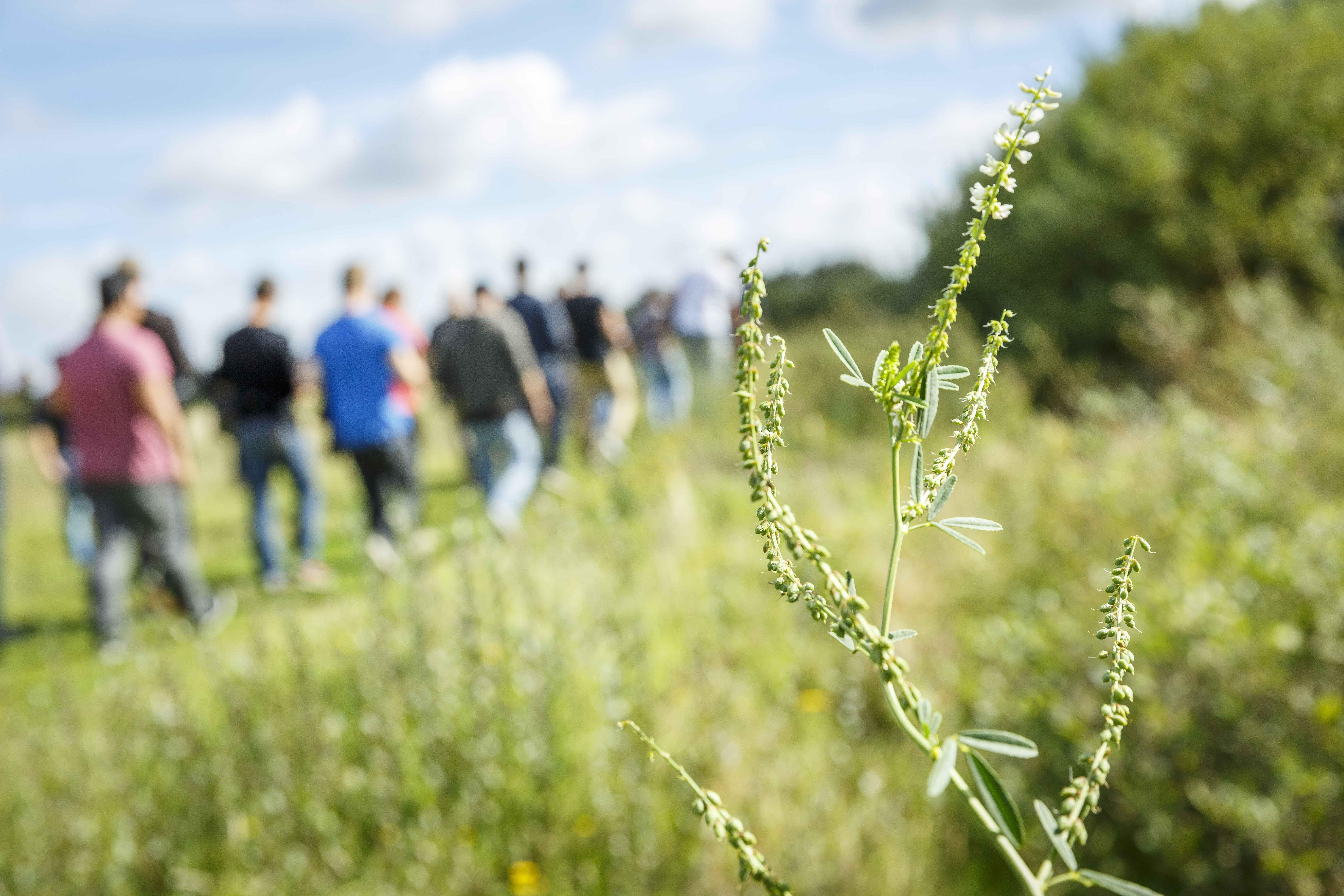 (C) Roel Dijkstra Fotografie / Foto Fred Libochant

