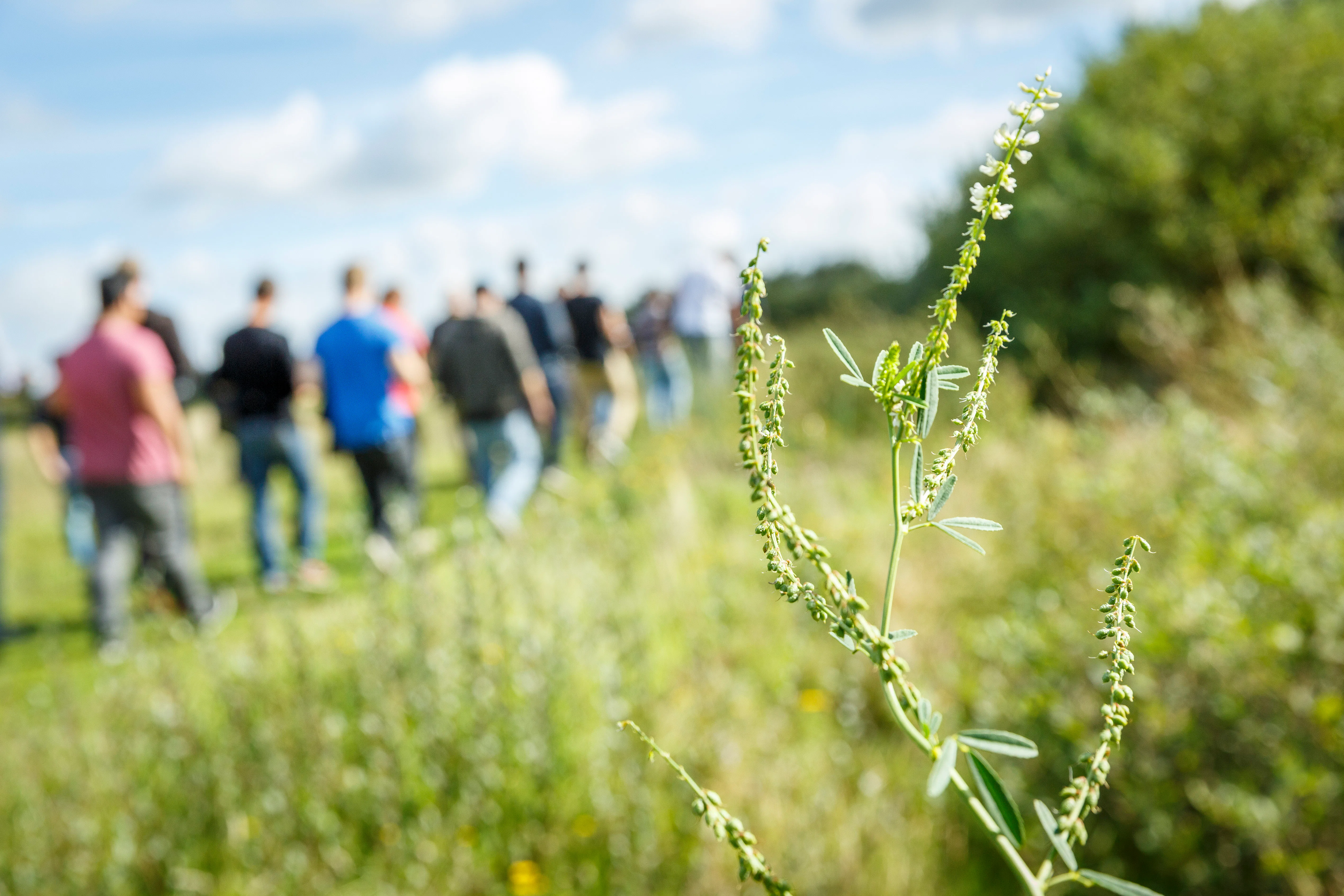 (C) Roel Dijkstra Fotografie