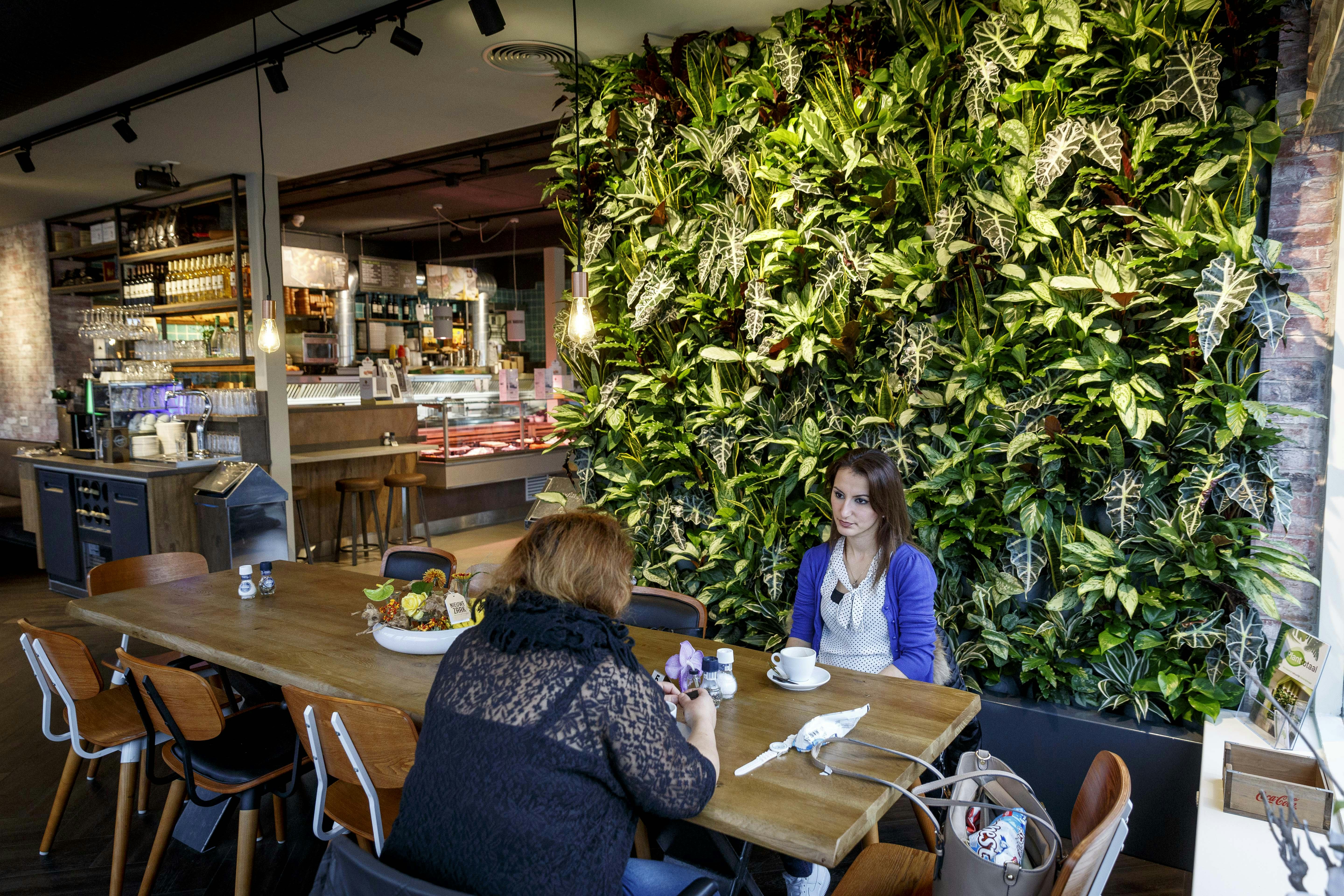 Family Honselersdijk van Monique en Corjan Treffers, dat eind
vorig jaar de deuren opende, is als eerste geheel in de nieuwe stijl vormgegeven. (C) Roel Dijkstra Fotografie / Foto Fred Libochant
Honselersdijk / inrichting en ambiance van een nieuwe cafetaria / Family Treffers