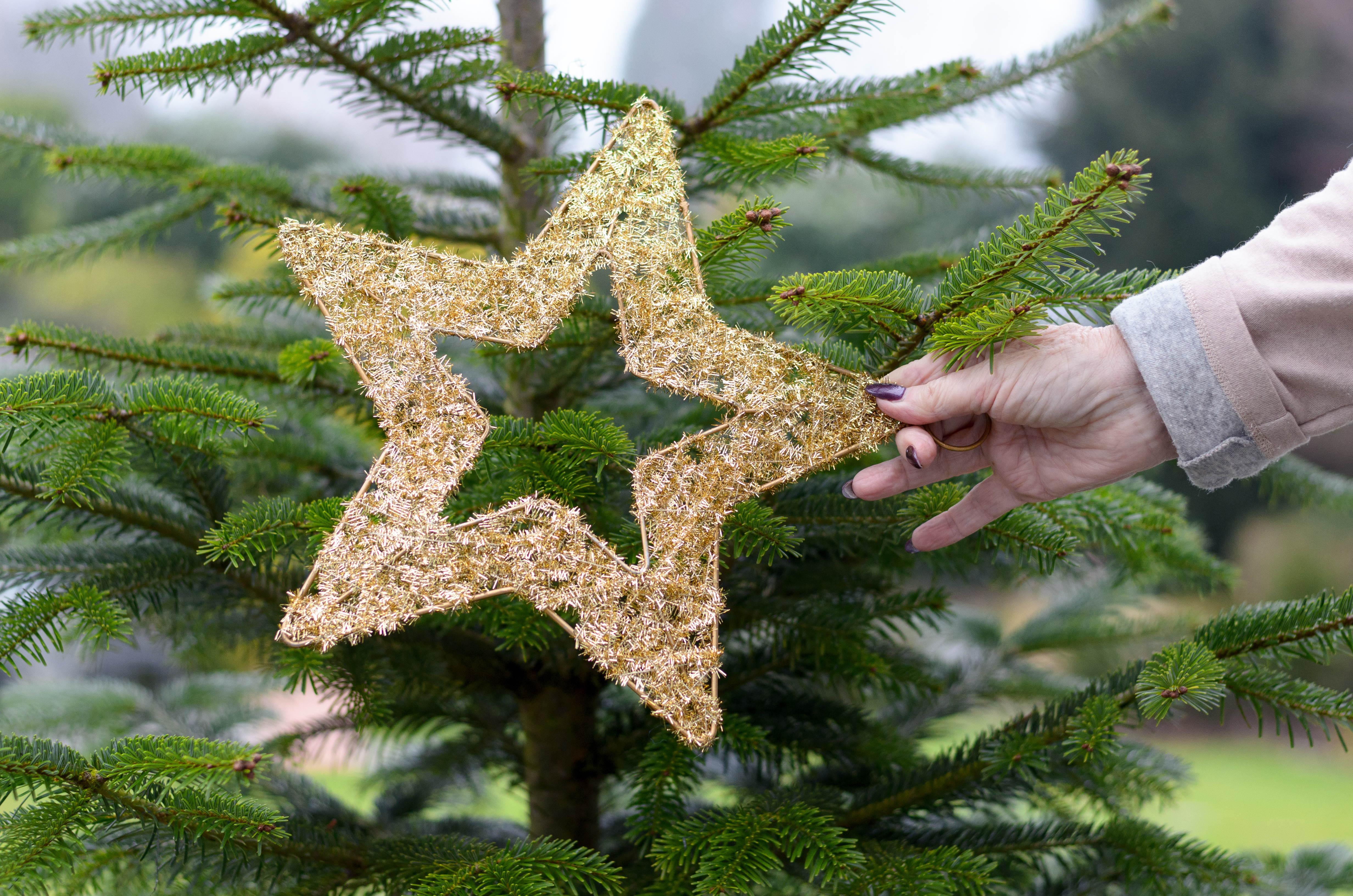 Grote belangstelling voor kerstdiners eenzame ouderen