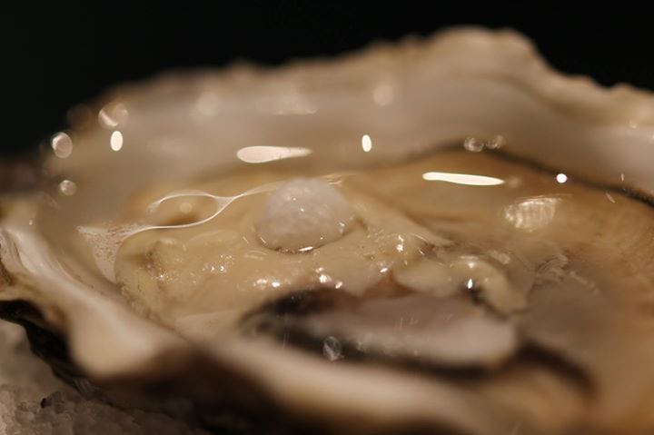 Koks van restaurant Monarh vinden parel in oester