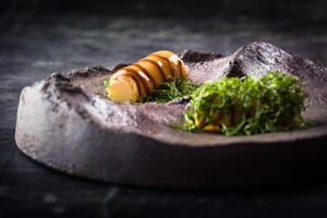 Opnieuw inspiratie diner van Steinbeisser in Nederland