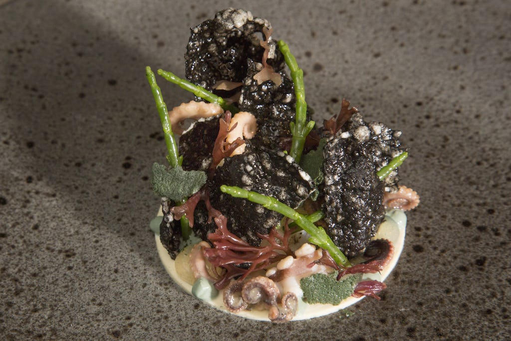 Tonny Berentsen: Ceviche van wilde zeebaars met octopus, crème van kokkel en zeekraal.