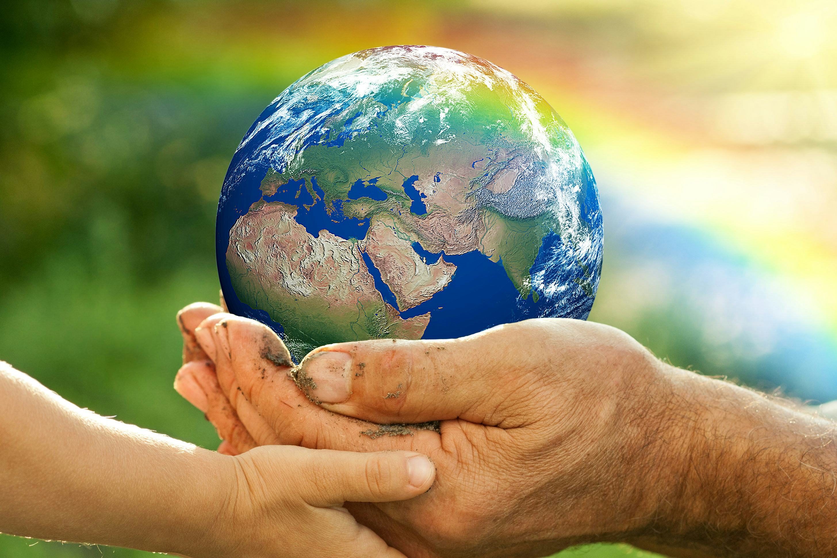 Haagse hotels realiseren ruim 40 procent minder voedselverspilling