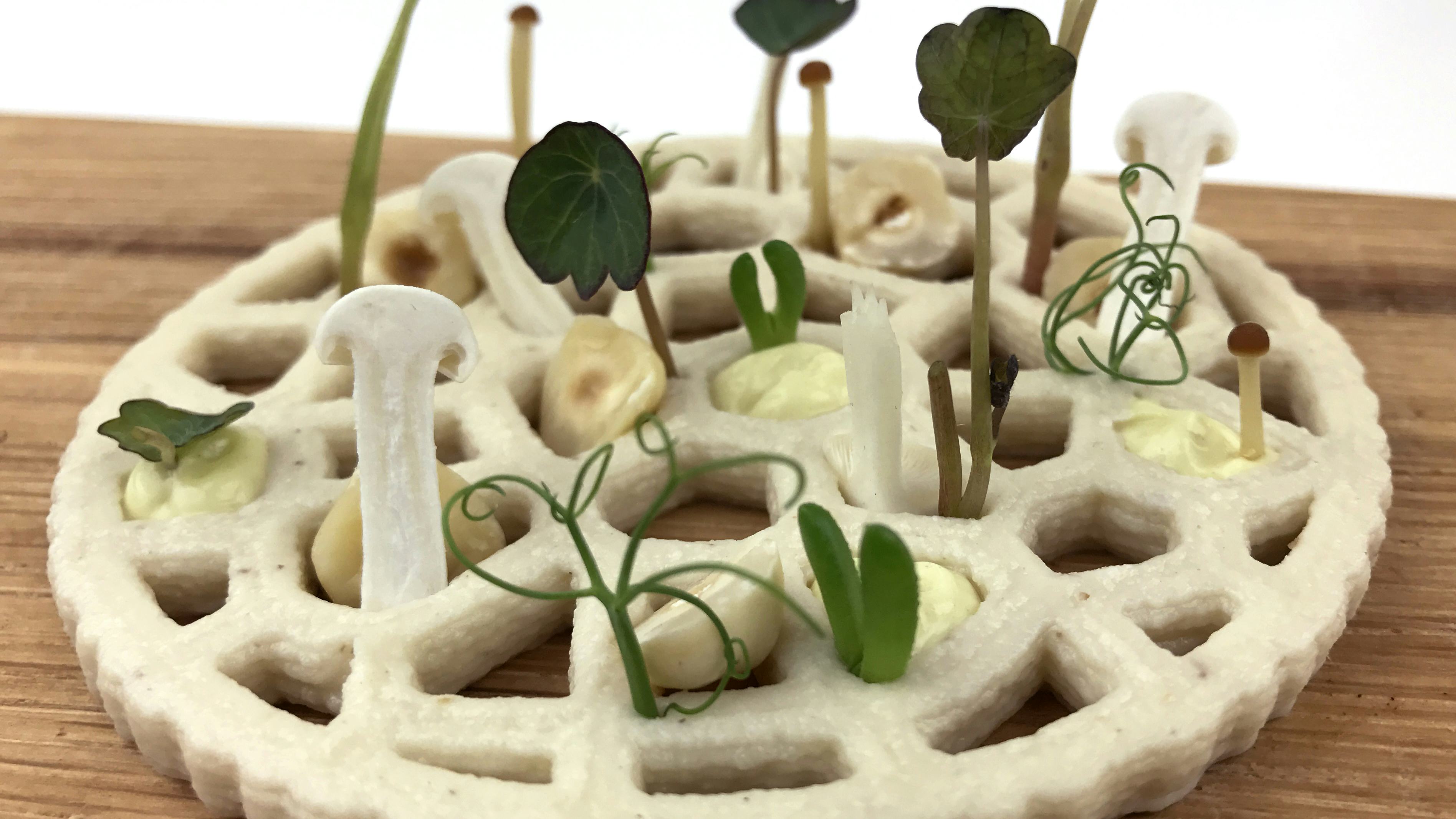 Jan Smink: tips 3D foodprinten voor de horeca