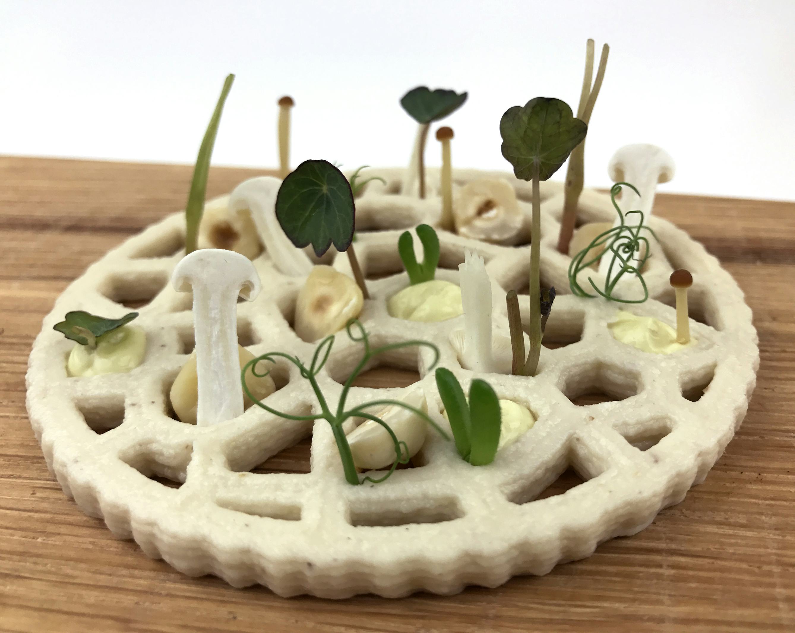 Jan Smink: tips 3D foodprinten voor de horeca
