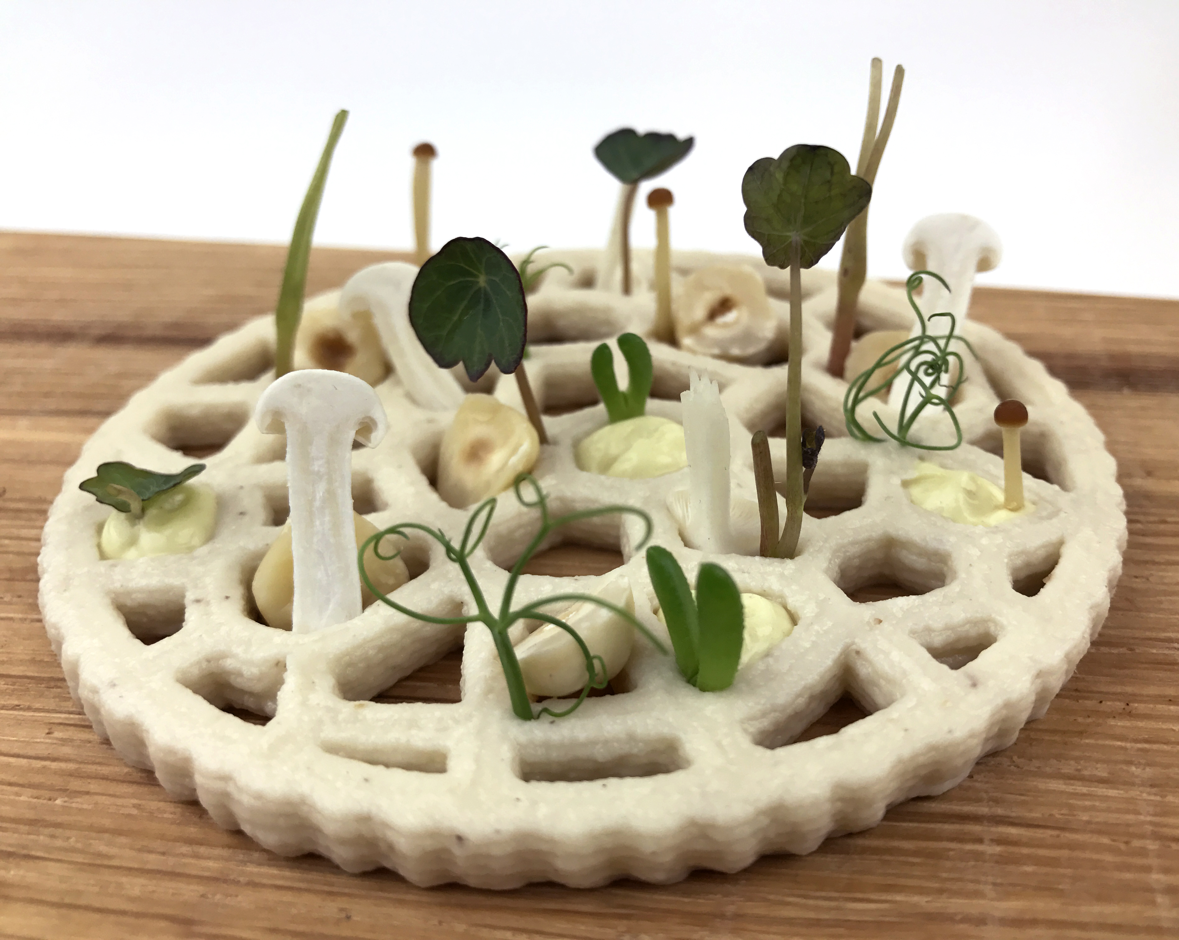 Jan Smink geeft tips over het 3D foodprinten