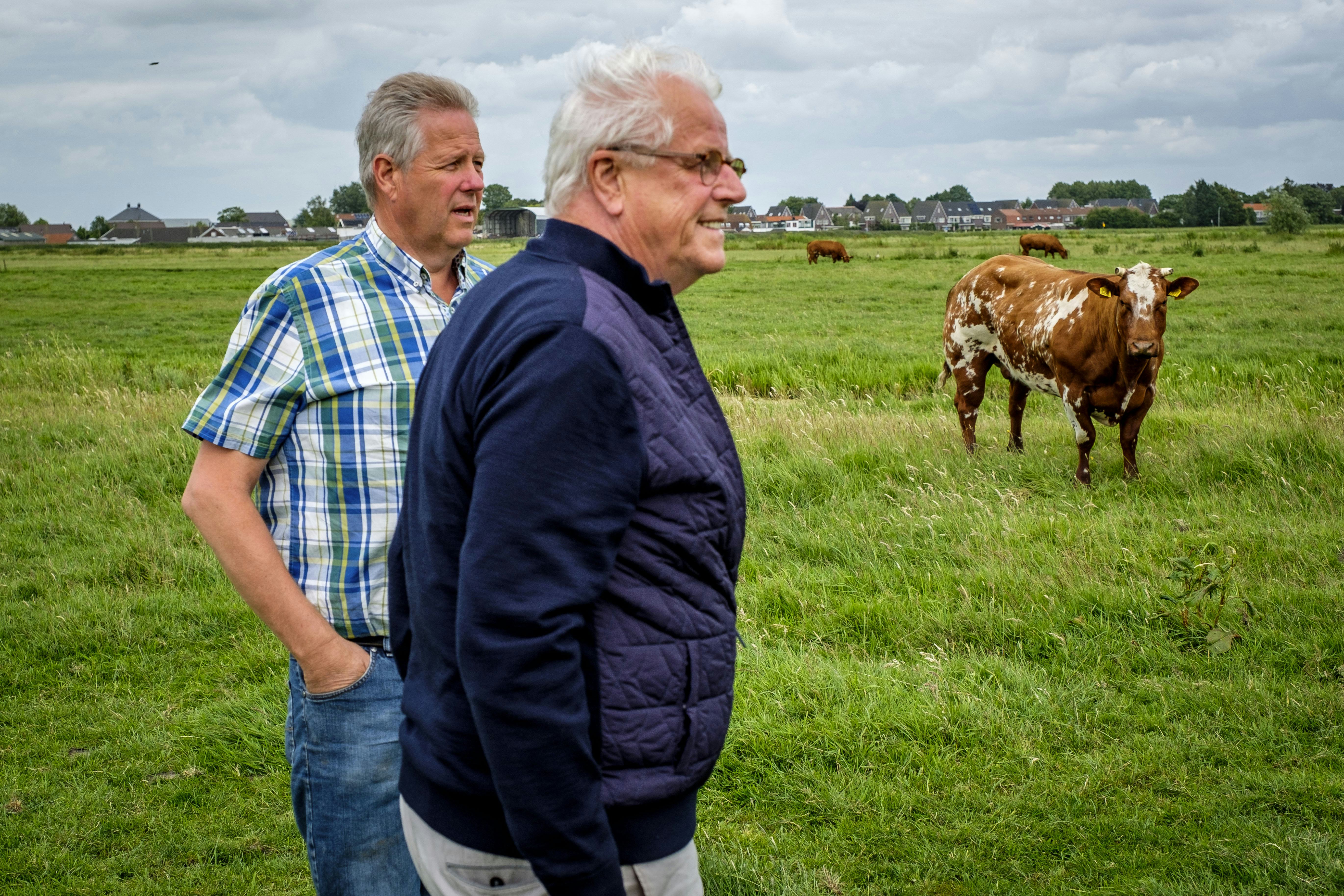Slager Piet van den Berg (voor) en veehouder Gerard de Koning in Berkel en Rodenrijs. (C) Roel Dijkstra Fotografie / Foto Fred Libochant
