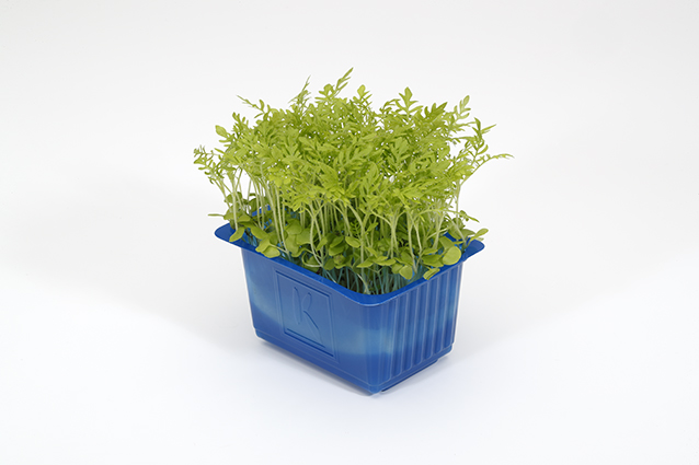 Koppert Cress lanceert Liita Cress 'met de smaak van lavendel'