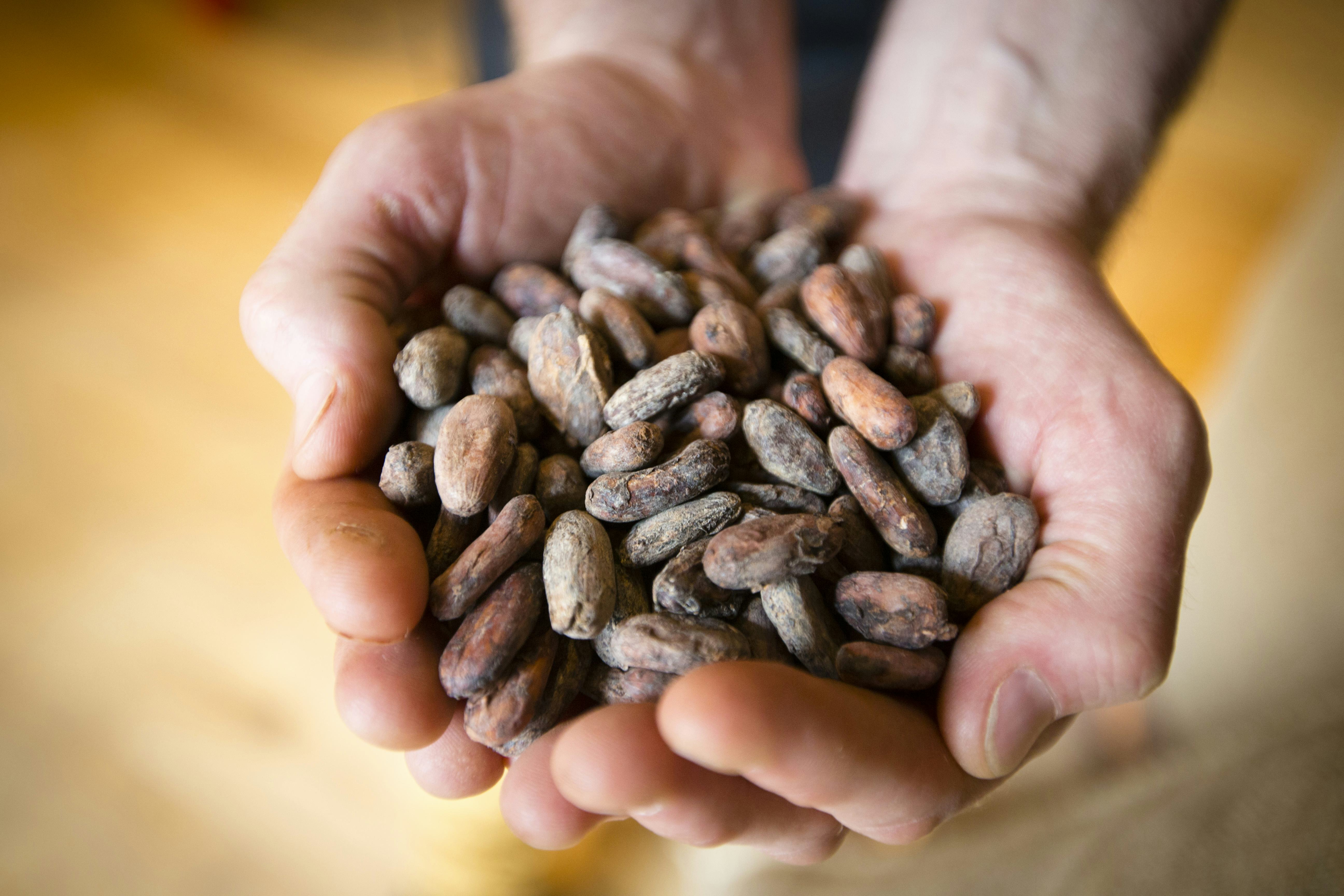 Chocoa organiseert masterclass voor barista's