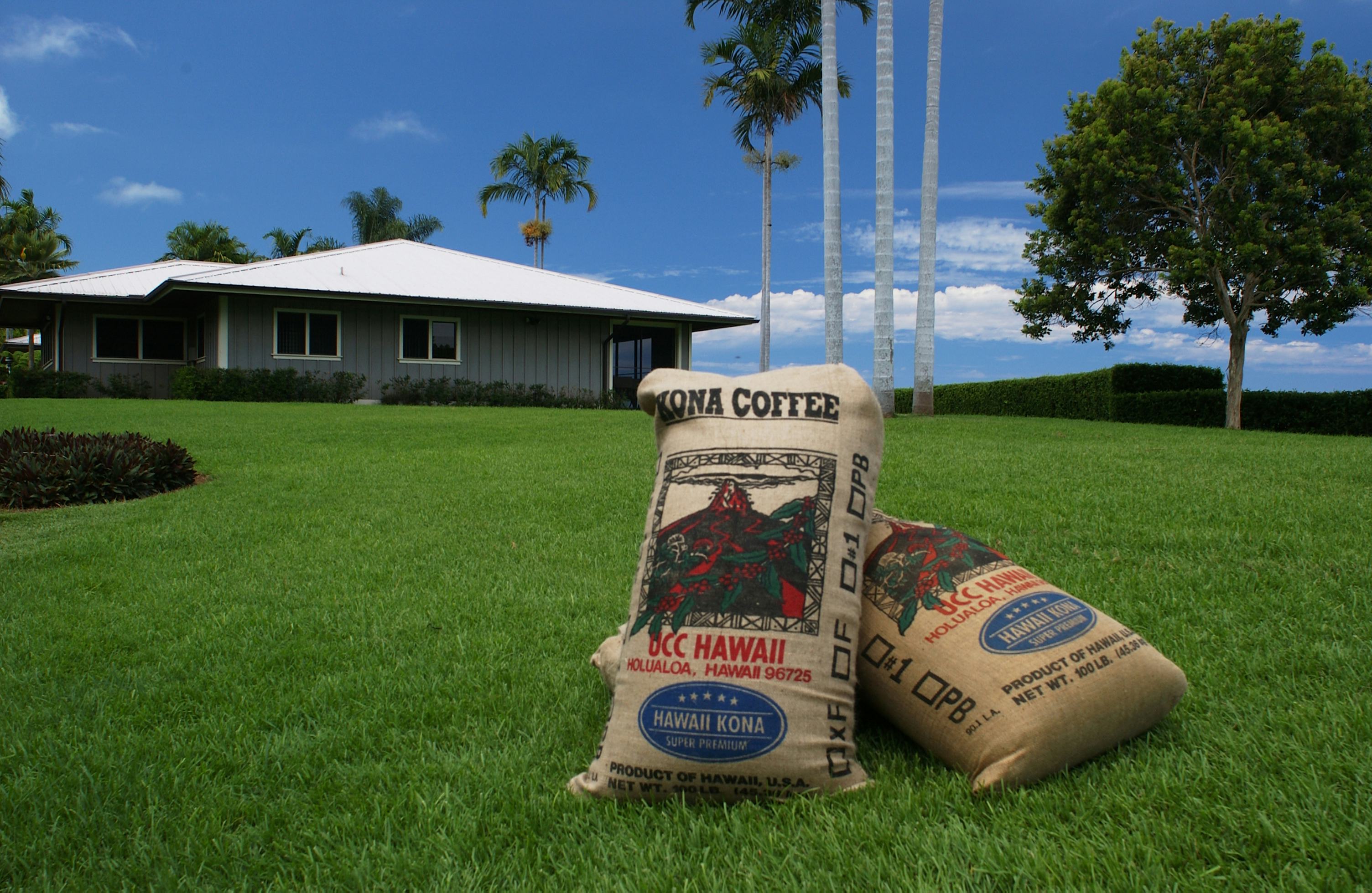 Onbekend UCC: van plantages tot koffiebars volledig in eigen beheer