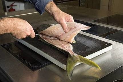 In Zeeland gekweekte Yellowtail vis nu al klaar voor gebruik