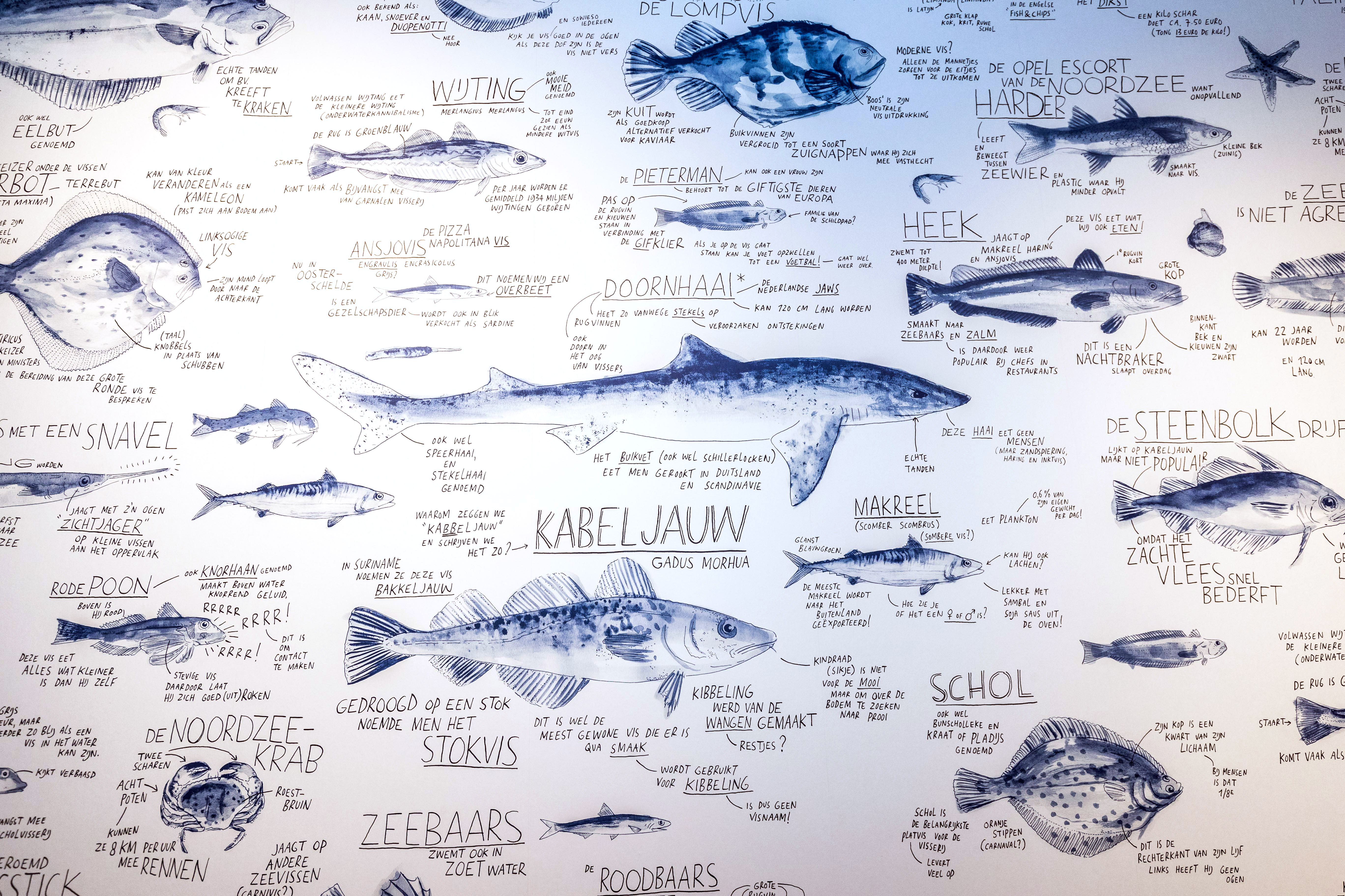 Hiske Versprille: 'Milder kon de recensie van restaurant Bijvangst niet'