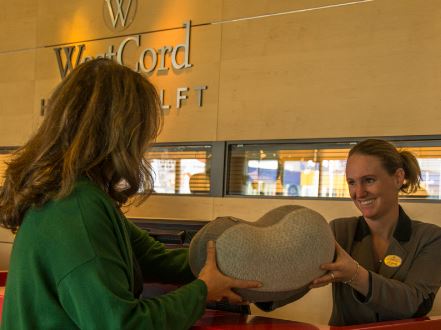 Hotelgasten testen eerste slaaprobot in WestCord Hotel Delft