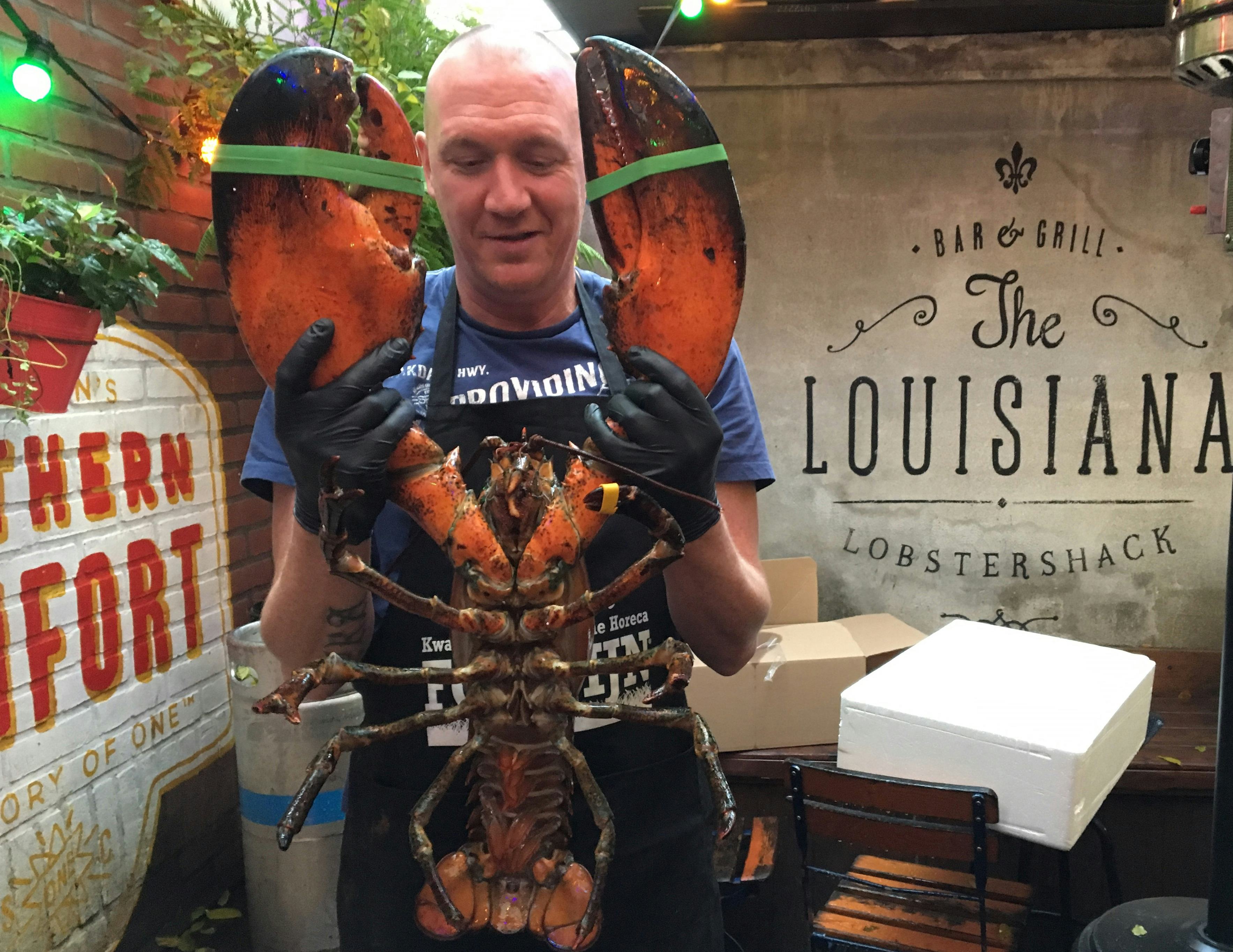 Gast van restaurant The Louisiana in Haarlem redt stokoude, enorme kreeft van kerstdiner