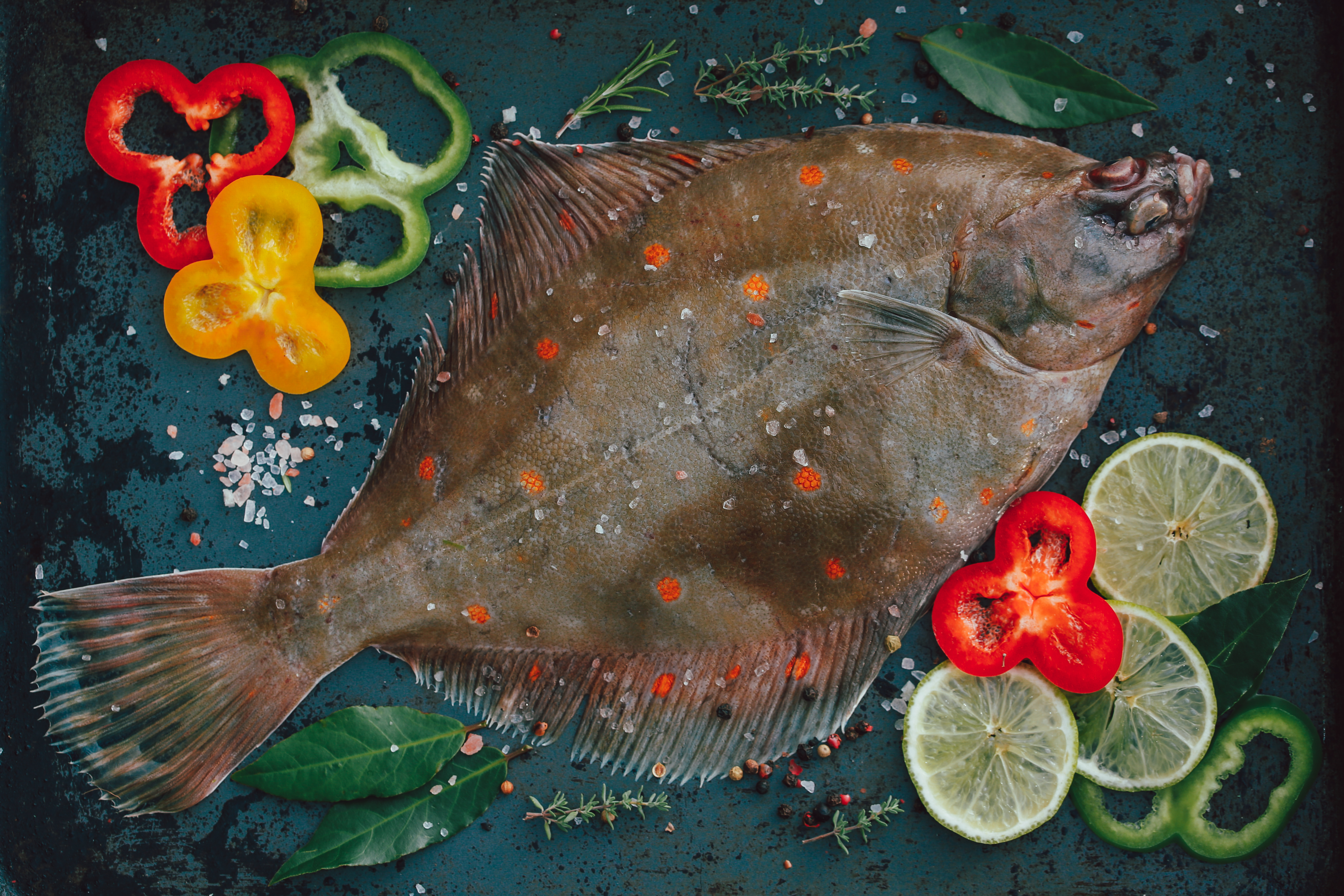 EU-parlement stemt voor verbod op vissen met stroomstootjes op platvissen