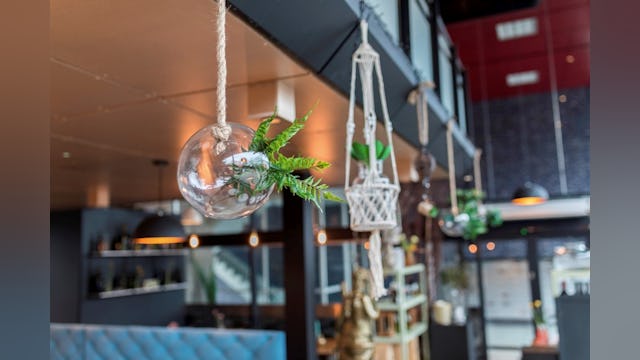 Brasserie CPH in Dordrecht.