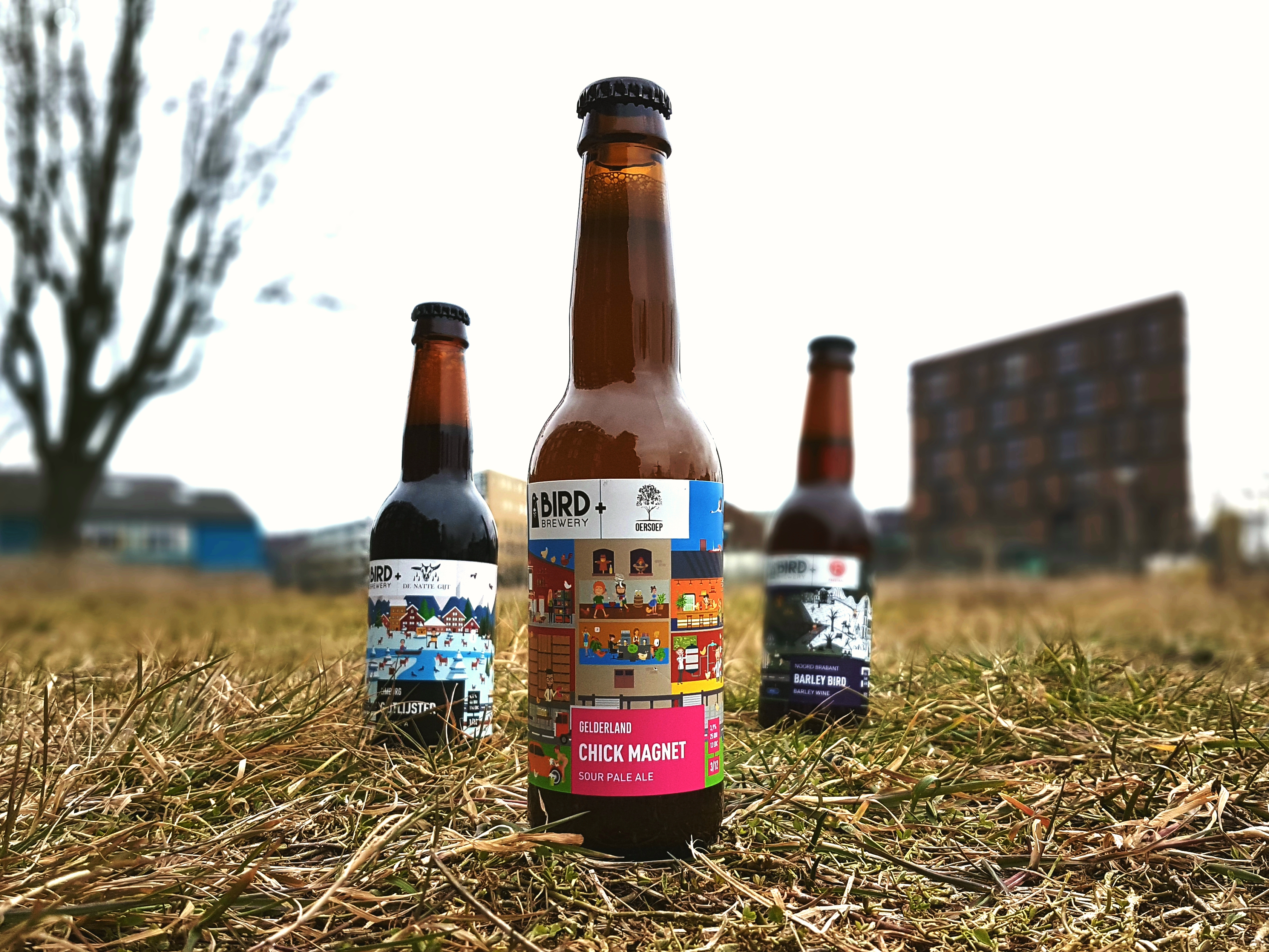 Chick Magnet van Bird Brewery en Oersoep.