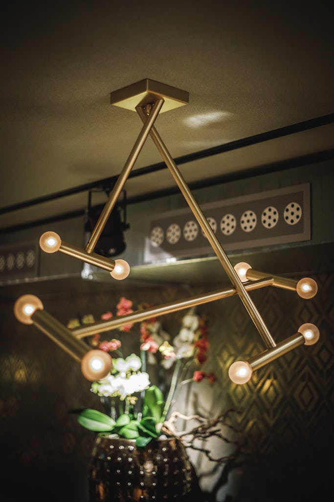 Hakvoort Professional