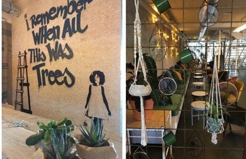 Plantaardig restaurant Backyard opent deuren in Rotterdam