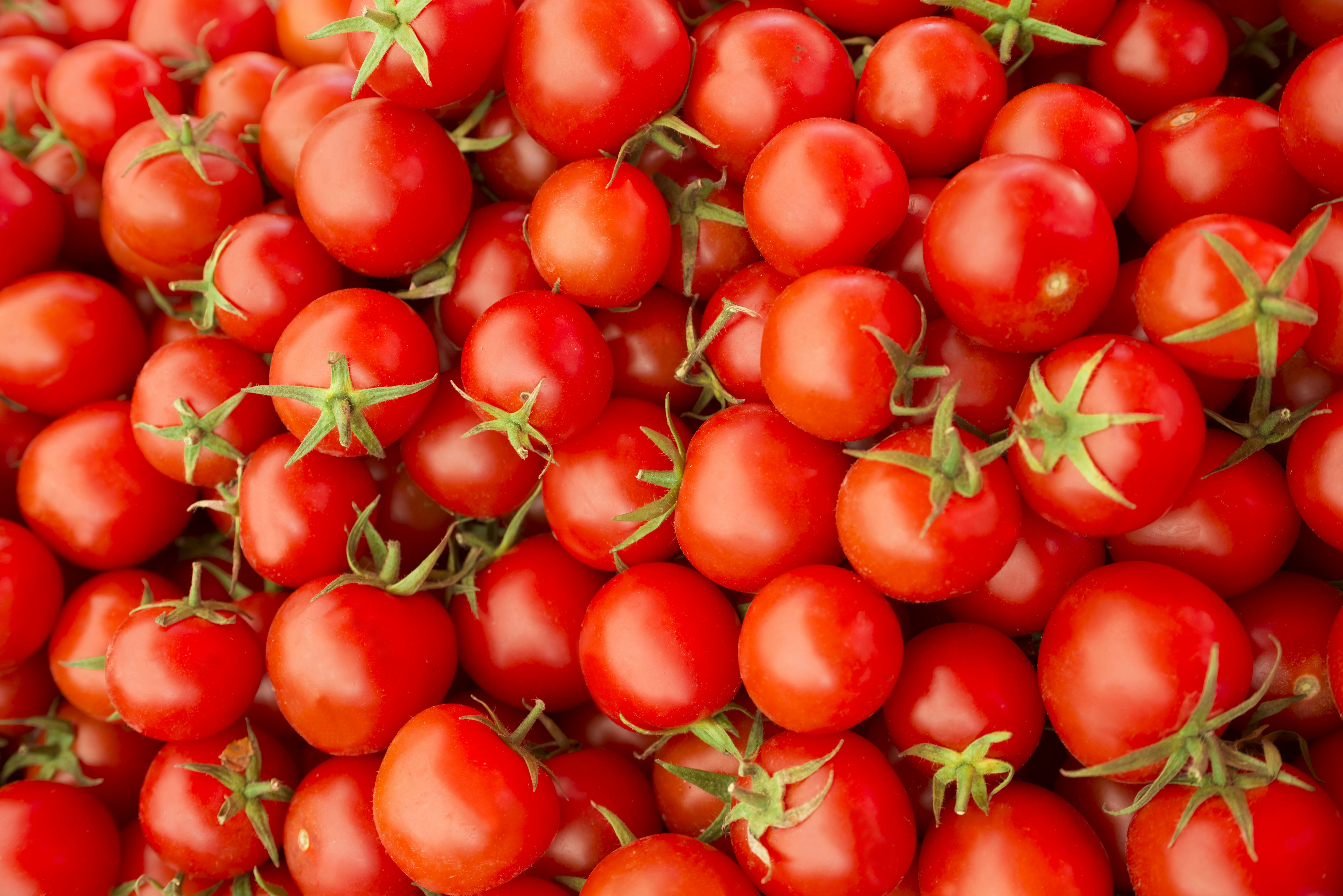 Deskundigen verwachten duurdere tomaten in de winter