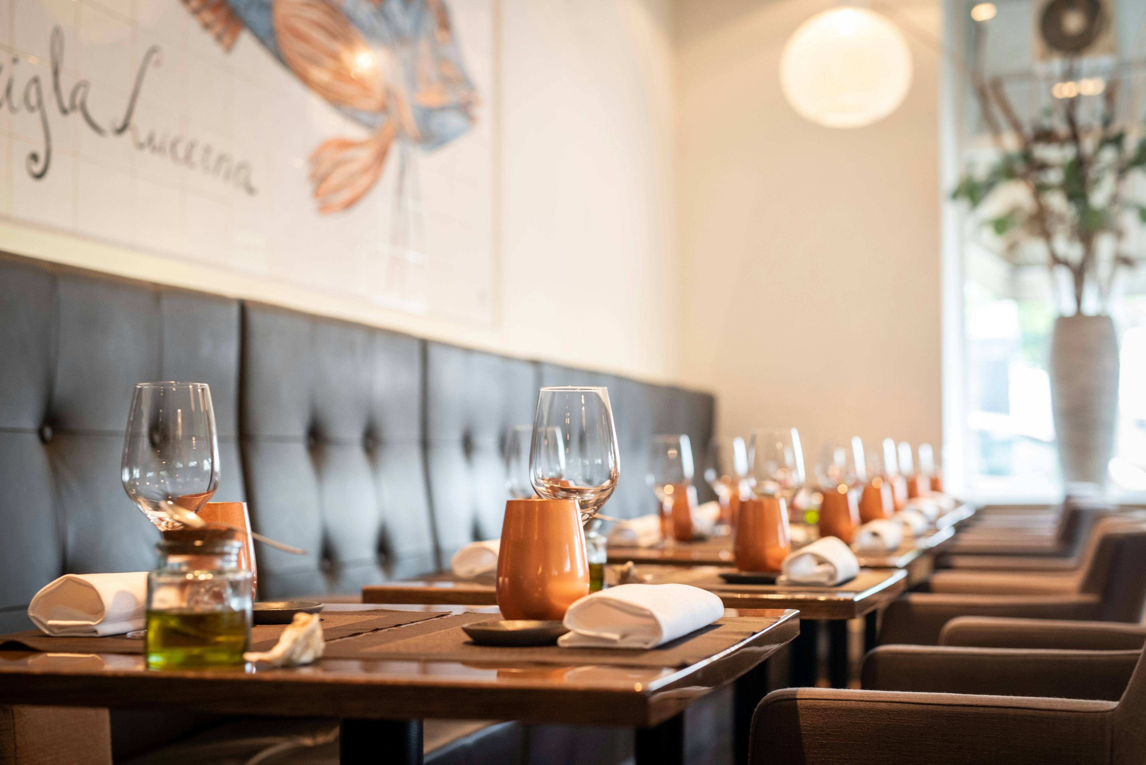 (meer foto's onder het bericht)