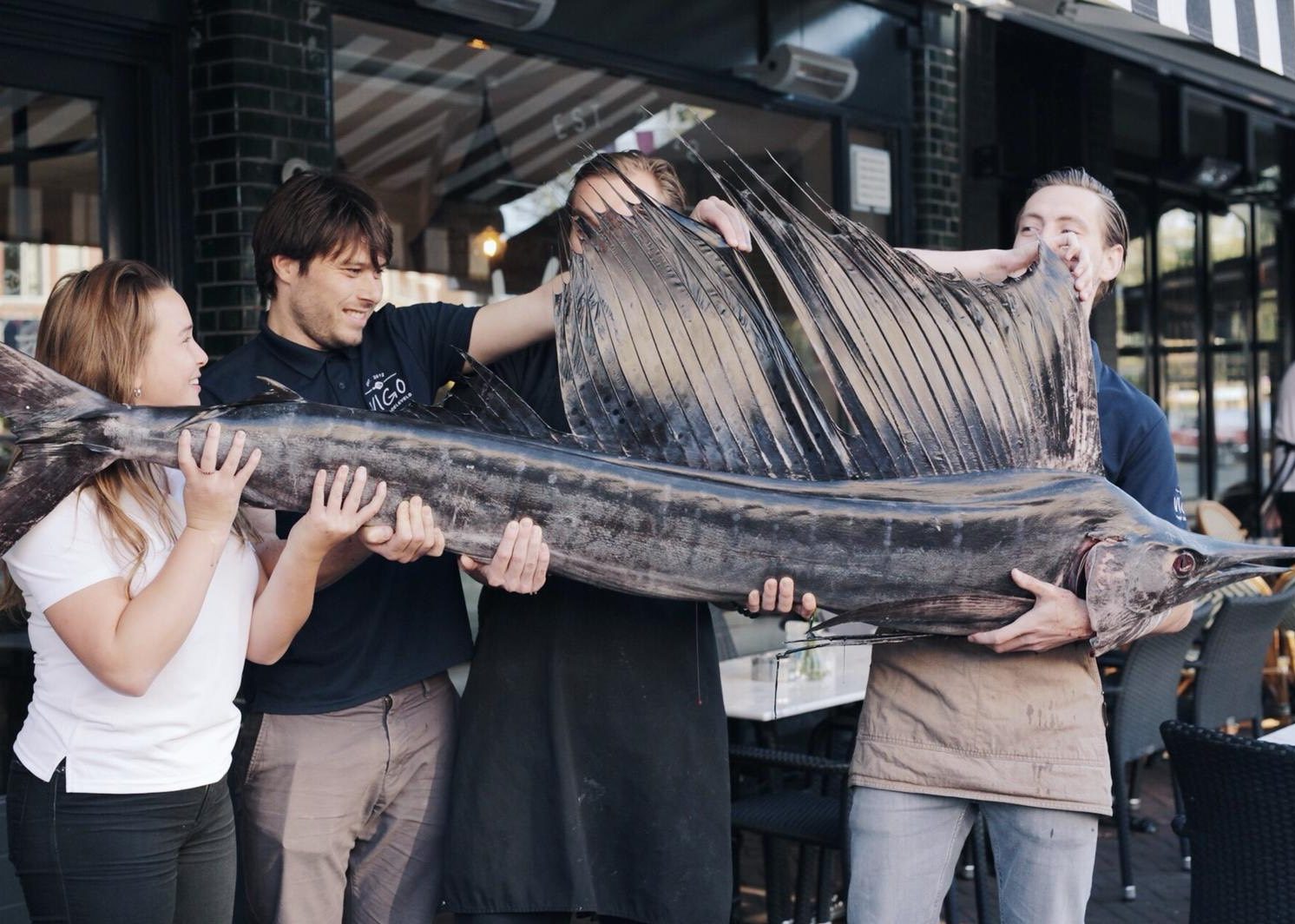 Seafoodbar Vigo: zeilvis als vangst van de dag