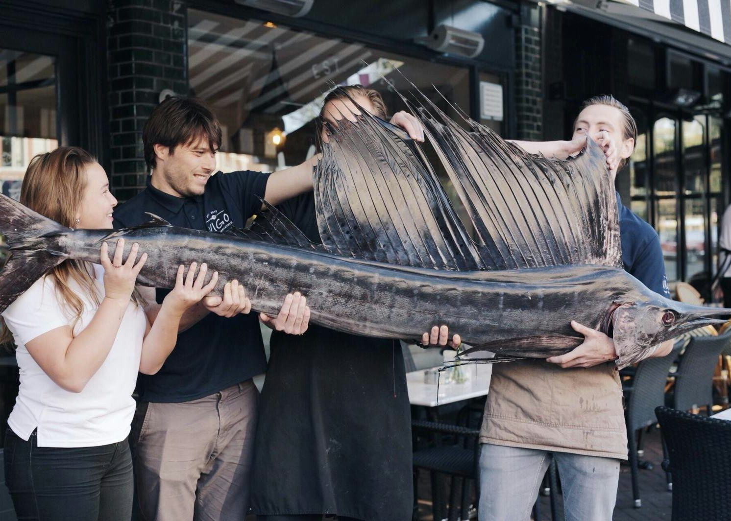 Seafoodbar Vigo: zeilvis als vangst van de dag