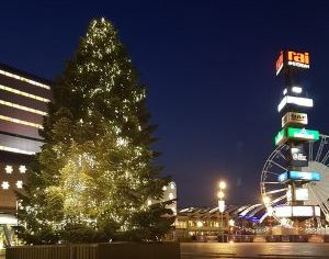 Horecava 2019: Van kerstboombier tot 'vegan' start-ups