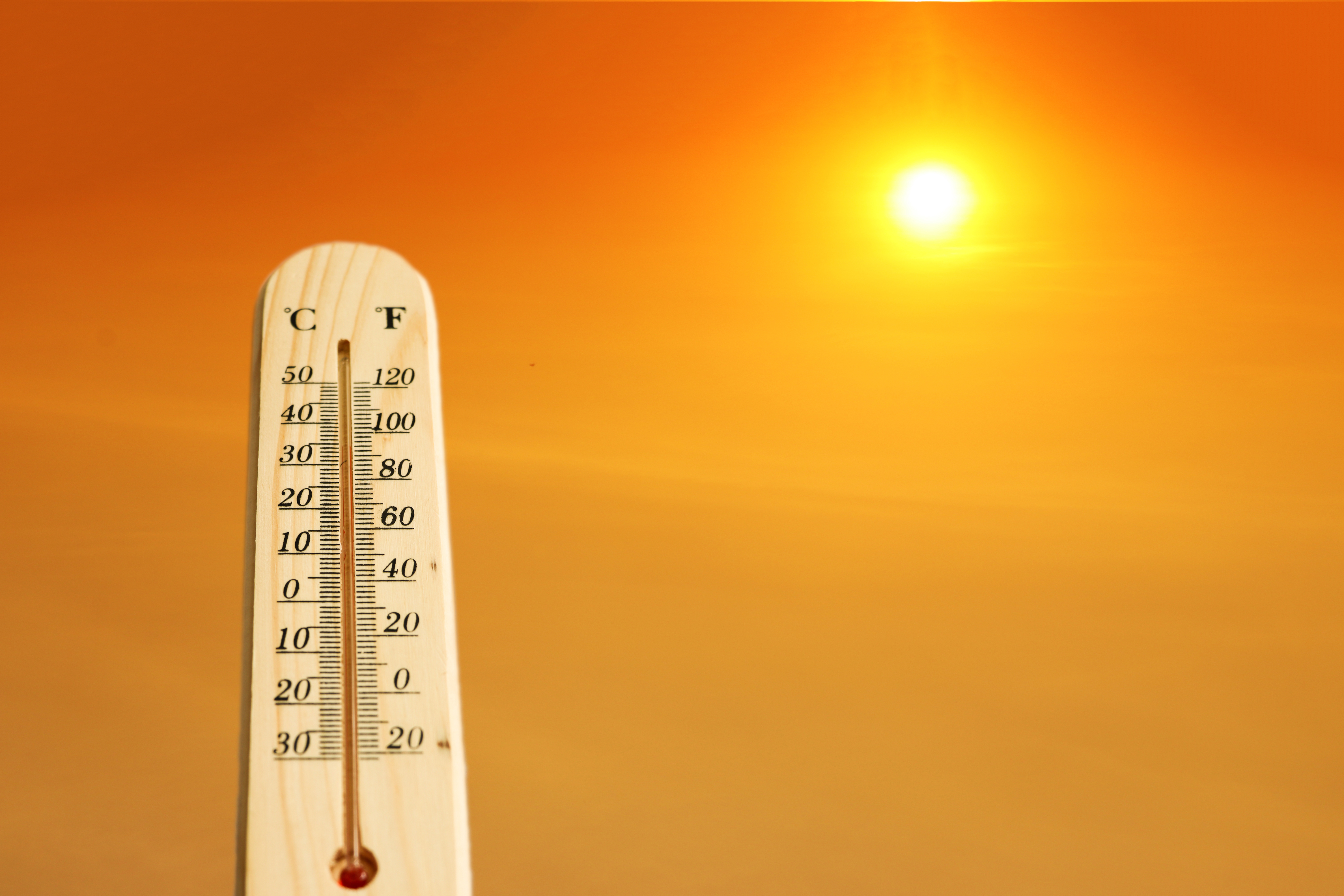 Hitte beheerst Nederland; hoe gaat het met de horeca?