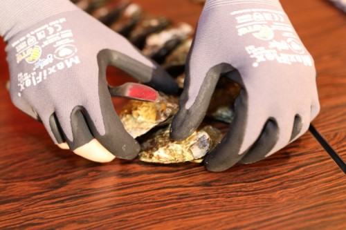 Nathan Mooij Photography