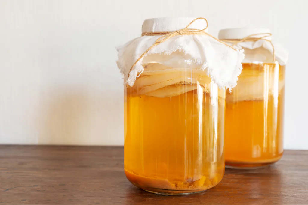 Zo Maak Je Zelf Kombucha zo-maak-je-zelf-kombucha