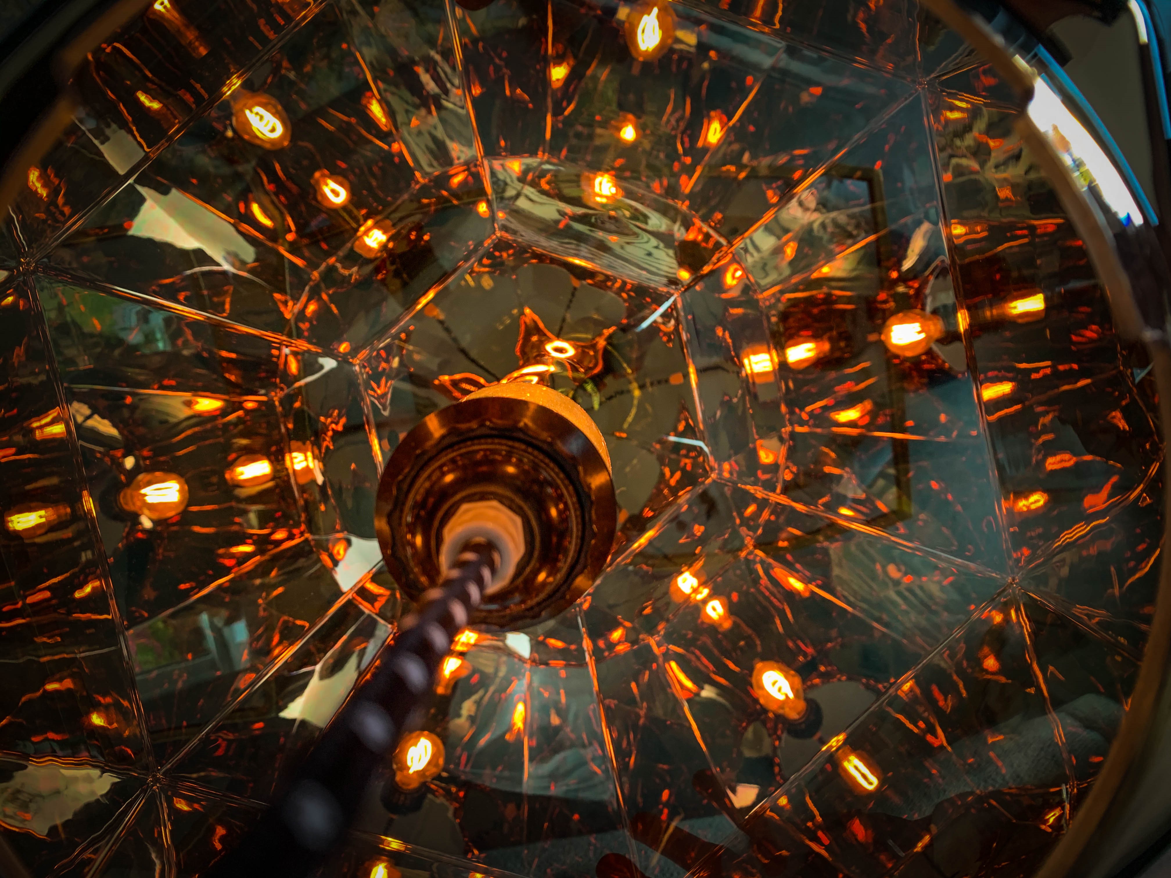 Foto's: Han van Zadelhoff