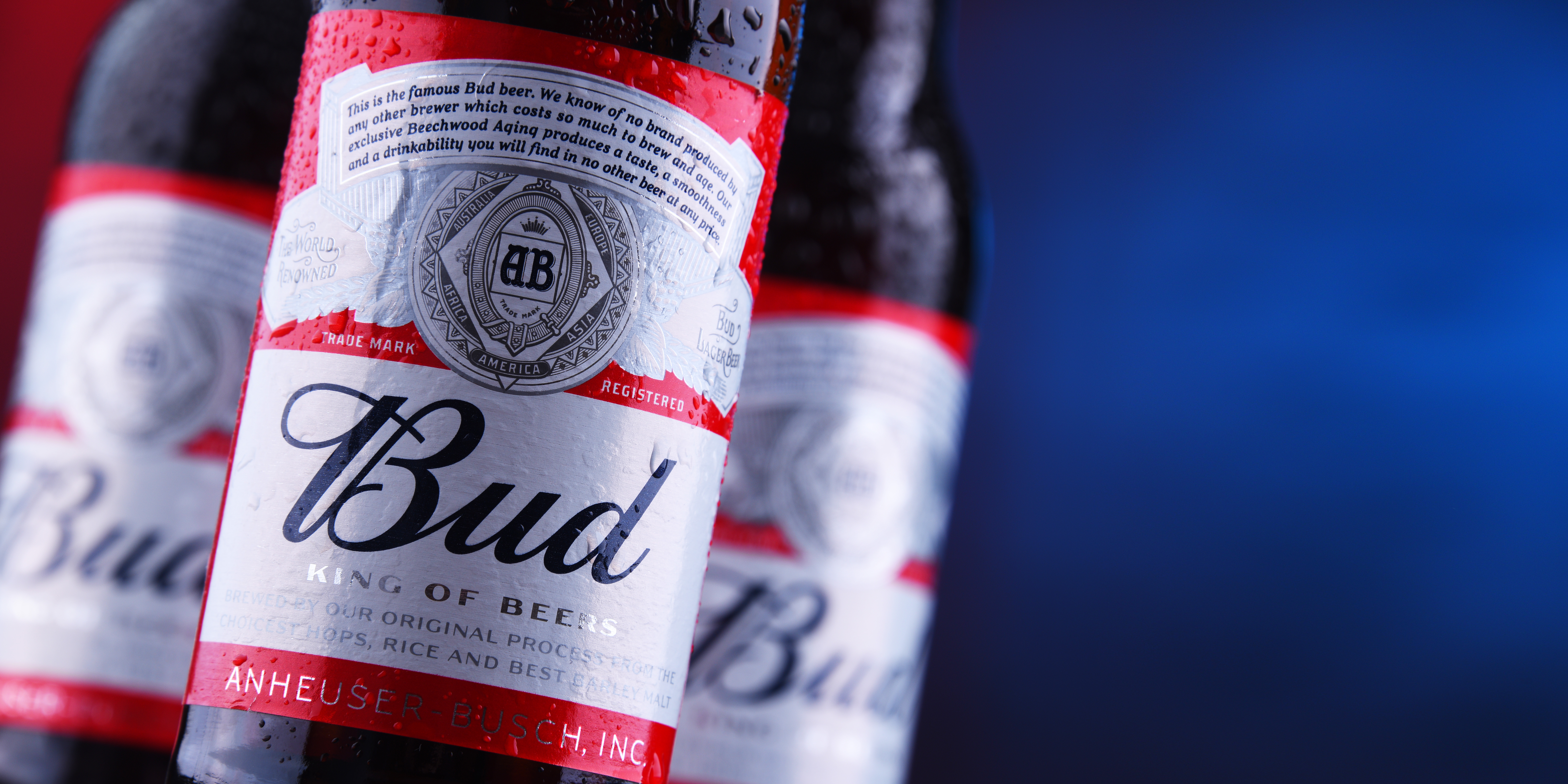 Stadion Gelredome stapt over op Bud