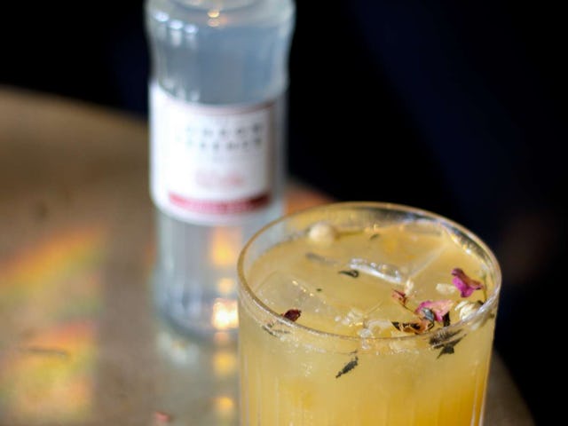 Hortus Botanicus - Amstel Bar